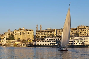 Aswan Prints: Felucca sailing on the River Nile near Aswan, Egypt, North Africa, Africa