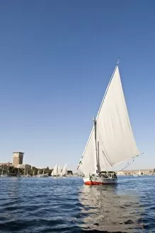 Images Dated 6th February 2009: Felucca sailing on the River Nile near Aswan, Egypt, North Africa, Africa