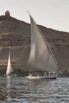 Images Dated 6th February 2009: Felucca sailing on the River Nile near Aswan, Egypt, North Africa, Africa