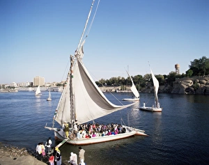 Aswan Prints: Feluccas on the River Nile, Aswan, Egypt, North Africa, Africa