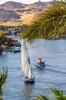 Feluccas on the River Nile, Aswan, Egypt, North Africa, Africa