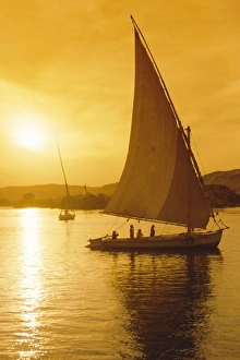 Feluccas under sail at sunset on the Nile river, Egypt