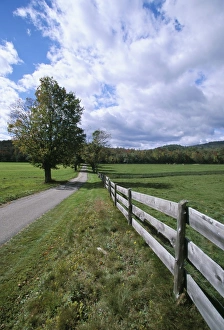 Fence Prints: Fence and country road