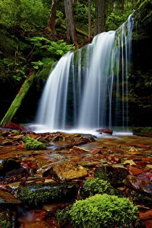 Lush Gallery: Fern Falls, Coeur d Alene National Forest, Idaho Panhandle National Forests