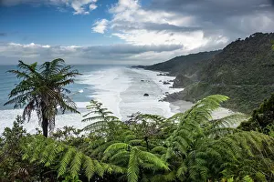 Fern Prints: Fern-Lined Lookout Over Crashing Waves and Rugged Coastline in Paparoa National Park