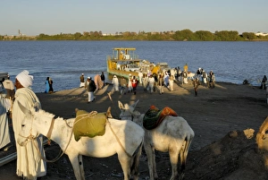 Working Animal Prints: Ferry across the River Nile