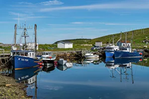 Newfoundland And Labrador Prints: Ferryland harbour, Avalon Peninsula, Newfoundland, Canada, North America