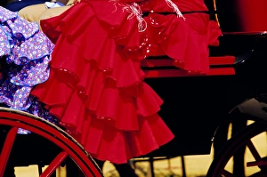 Dres Prints: Detail of festival goers dress