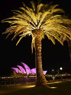 Images Dated 11th June 2009: Festival of Light, Sydney Opera House and palm tree, Sydney, New South Wales
