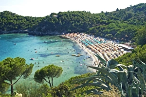 Elba Prints: Fetovaia, Isola d Elba, Elba, Tuscany, Italy, Europe