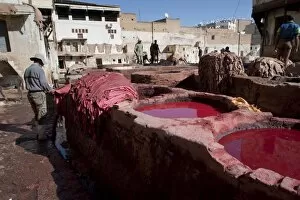 Images Dated 13th November 2009: Fez Tannery, Fez, Morocco, North Africa, Africa