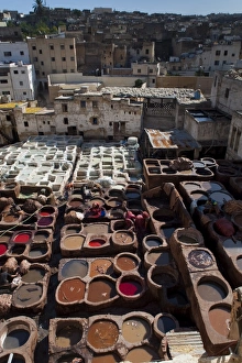 Images Dated 13th November 2009: Fez Tannery, Fez, Morocco, North Africa, Africa