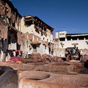 Images Dated 13th November 2009: Fez Tannery, Fez, Morocco, North Africa, Africa