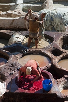Images Dated 13th November 2009: Fez Tannery, Fez, Morocco, North Africa, Africa