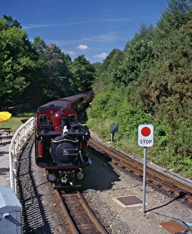 Railway Prints: Ffestiniog Railway at Tan-y-Bwlch, the busiest of the North Wales narrow gauge railways
