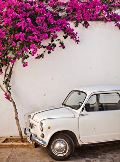 Bright Color Prints: Fiat under tree in Mojacar, Andalucia, Spain, Europe
