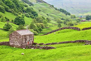 Rolling Landscape Prints: Field barn below Kisdon Hill near Angram in Swaledale