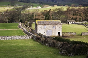 Field barn near Aysgarth, Yorkshire Dales, Yorkshire, England, United Kingdom, Europe