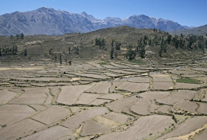 Field patterns near Chivay in winter