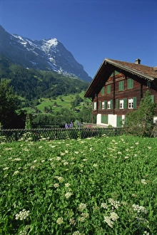 Eiger Prints: Fields and chalets at Grindelwald with the Eiger at 13026ft beyond