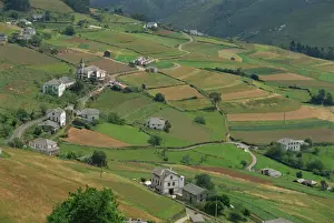 Asturias Prints: Fields, farms and houses in the Navia Valley (Valle del Navia)