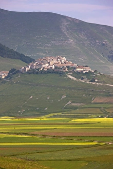 Images Dated 28th June 2008: Fields of lentils and Castelluccio di Norcia, Highland of Castelluccio di Norcia