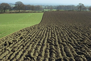 Fields between Llanarmon and Llanrhaeadr