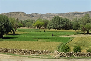Fields of mixed crops irrigated by pump wells