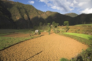 Fields near Bandare Village, Trisuli Valley, Nepal, Asia