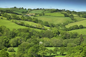 Fields near Cadleigh, Mid Devon, Devon, England, United Kingdom, Europe