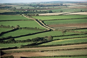 Fields near St. Austell, Cornwall, England, United Kingdom, Europe