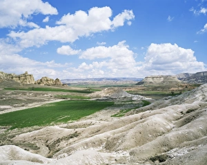 Bare Prints: Fields in a rocky landscape