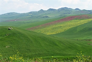 Fields and rolling hills in a typical landscape near
