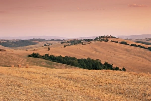 Crete Senesi Prints: Fields at sunset