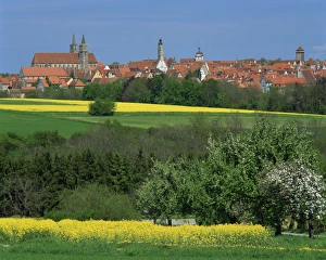 Rothenburg Prints: Fields and trees in front of the town skyline of Rothenburg