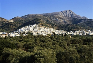 Filoti in Olive Groves, Tragea, Naxos, Cyclades, Greece