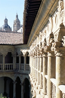 Nunnery Prints: Fine cloisters of the Convento de las Duenas