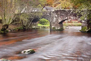 River Bank Prints: Fingle Bridge and the River Teign