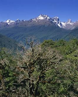 Fiordland National Park