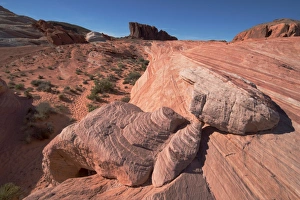 Strata Prints: The Fire Wave, Valley of Fire, near Las Vegas, Nevada, United States of America
