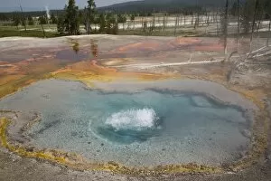 Geothermal Gallery: Firehole Spring, Firehole Lake Drive, Yellowstone National Park, UNESCO World Heritage Site, Wyoming