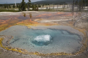 Firehole Spring, Firehole Lake Drive, Yellowstone National Park, UNESCO World Heritage Site, Wyoming, United States of America, North America Geothermal Gallery: Firehole Spring, Firehole Lake Drive, Yellowstone National Park, UNESCO World Heritage Site, Wyoming