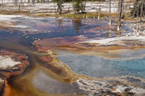 Geothermal Gallery: Firehole Spring, Yellowstone National Park, UNESCO World Heritage Site, Wyoming