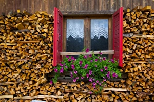 Pile Prints: Firewood, Vigo di Fassa, Fassa Valley