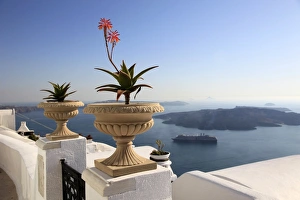 Images Dated 14th May 2009: Firostefani, Santorini, Cyclades Islands, Greek Islands, Greece, Europe