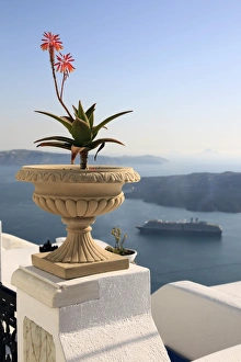 Images Dated 14th May 2009: Firostefani, Santorini, Cyclades Islands, Greek Islands, Greece, Europe