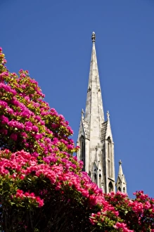 Dunedin Prints: The First Church, Dunedin, Otago, South Island, New Zealand, Pacific