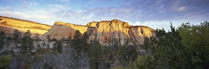 Daybreak Prints: First light on the hills, Zion National Park