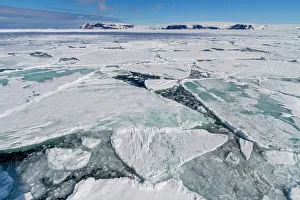 Seasonal Changes Prints: First year sea ice forming floes in Antarctic Sound, Southern Ocean, Polar Regions