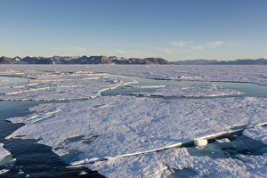 Sea Ice Prints: First year sea ice in Kong Oscar Fjord, Northeast Greenland, Polar Regions